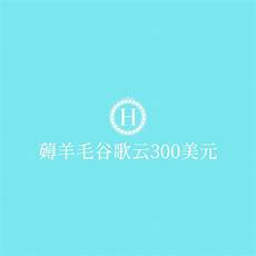 谷歌云服务器香港地址